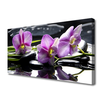 Quadro em tela Planta de orquídea flor