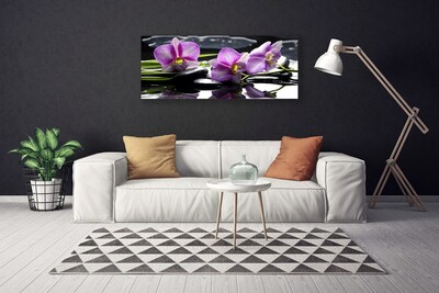 Quadro em tela Planta de orquídea flor