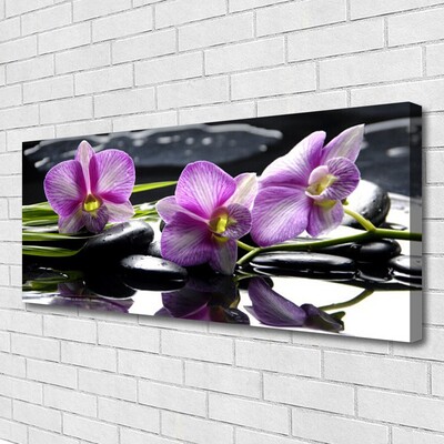 Quadro em tela Planta de orquídea flor