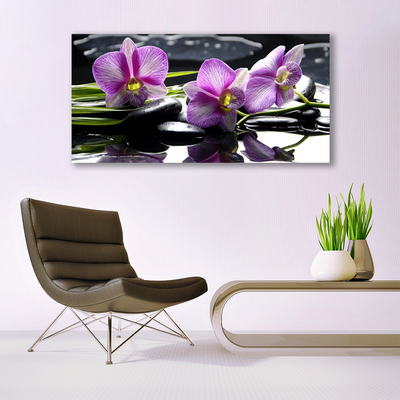 Quadro em tela Planta de orquídea flor