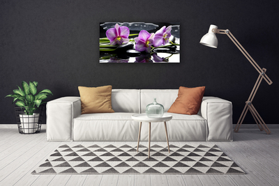 Quadro em tela Planta de orquídea flor