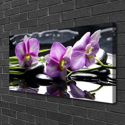 Quadro em tela Planta de orquídea flor