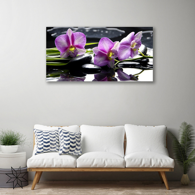 Quadro em tela Planta de orquídea flor