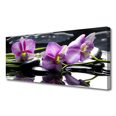 Quadro em tela Planta de orquídea flor