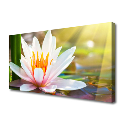 Quadro em tela Flores Planta Natureza