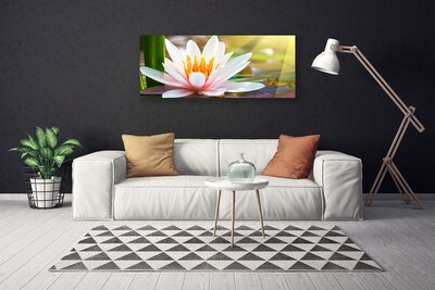 Quadro em tela Flores Planta Natureza