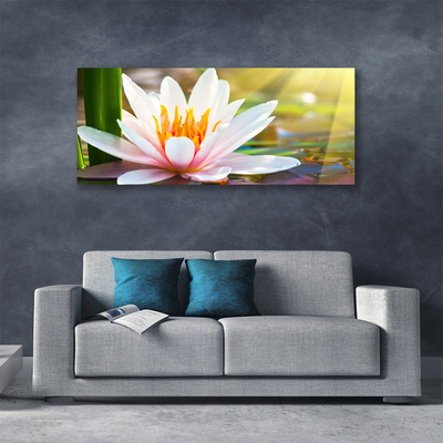 Quadro em tela Flores Planta Natureza