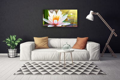 Quadro em tela Flores Planta Natureza