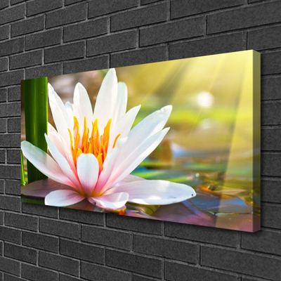 Quadro em tela Flores Planta Natureza