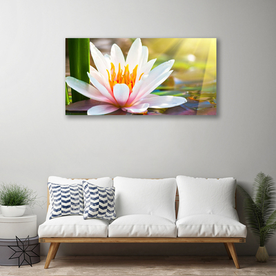 Quadro em tela Flores Planta Natureza