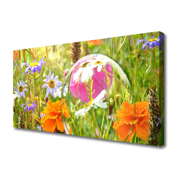 Quadro canvas Flores Planta Natureza