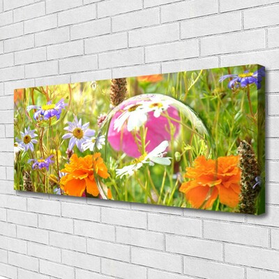 Quadro canvas Flores Planta Natureza