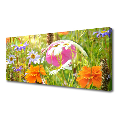 Quadro canvas Flores Planta Natureza