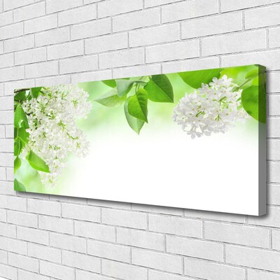 Quadro em tela Pétalas Planta Natureza