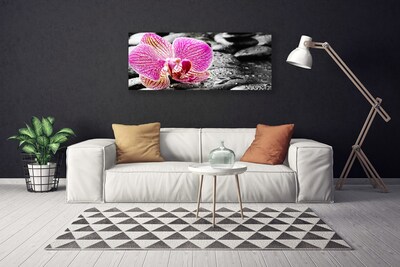 Quadro canvas Pedras de flores Orquídea