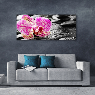 Quadro canvas Pedras de flores Orquídea