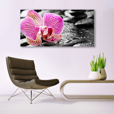 Quadro canvas Pedras de flores Orquídea