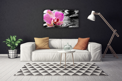 Quadro canvas Pedras de flores Orquídea