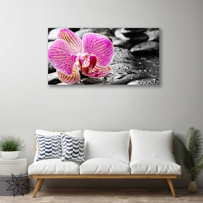 Quadro canvas Pedras de flores Orquídea