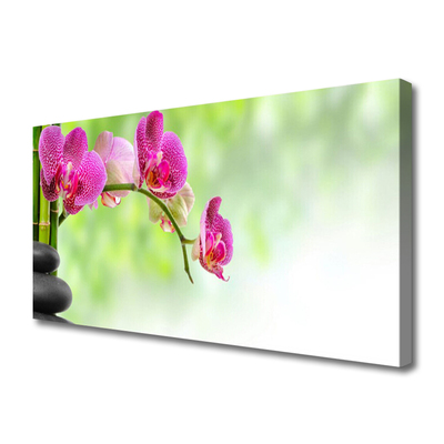 Quadro em tela Flor Natureza Bambu