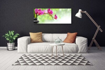 Quadro em tela Flor Natureza Bambu