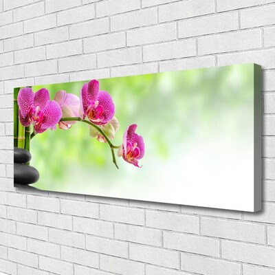 Quadro em tela Flor Natureza Bambu