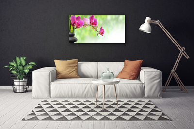 Quadro em tela Flor Natureza Bambu