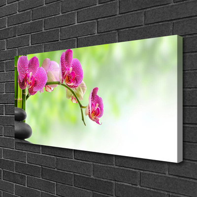 Quadro em tela Flor Natureza Bambu