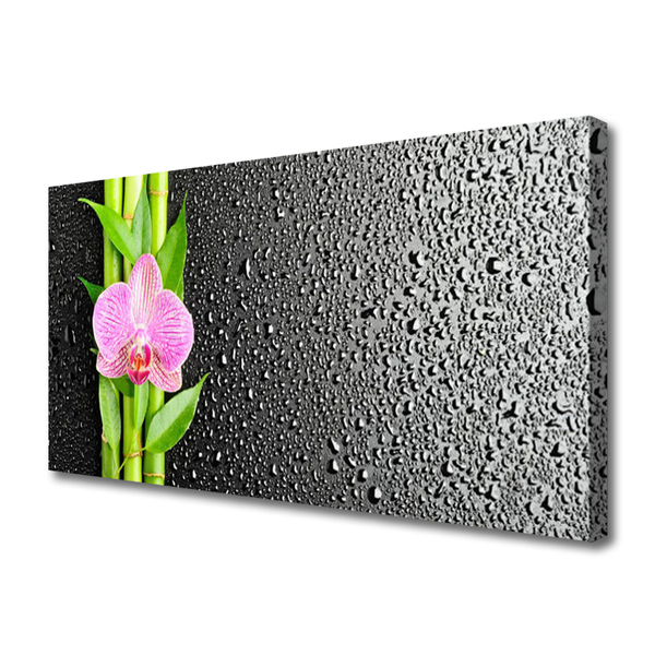 Quadro canvas Planta de flor de caule de bambu