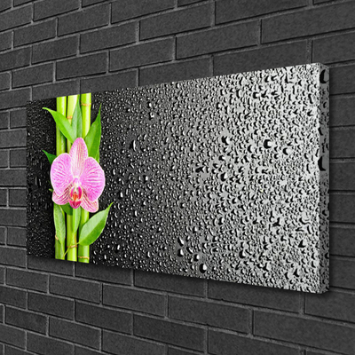 Quadro canvas Planta de flor de caule de bambu