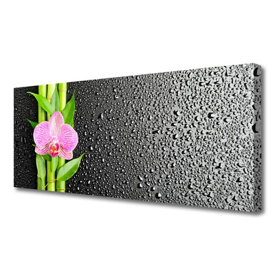 Quadro canvas Planta de flor de caule de bambu
