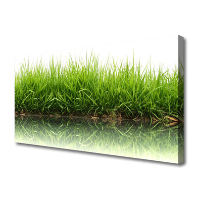 Quadro canvas Grama Natureza Planta
