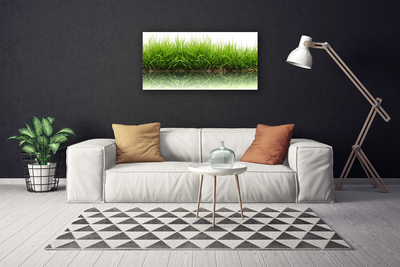 Quadro canvas Grama Natureza Planta