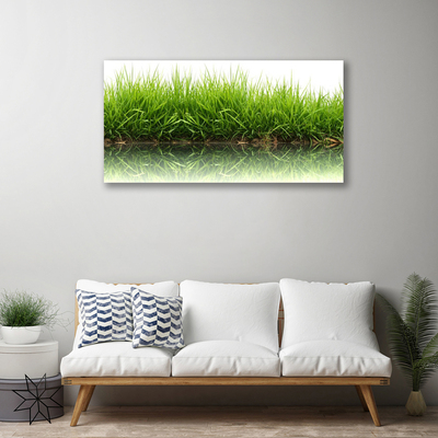 Quadro canvas Grama Natureza Planta
