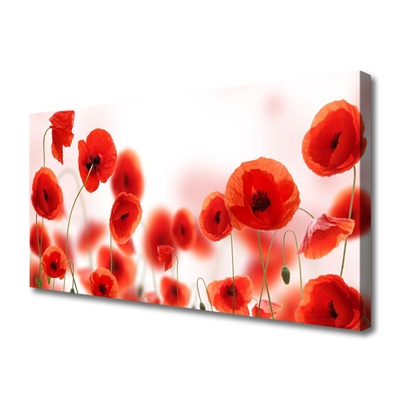 Quadro canvas Papoulas Plantam Natureza