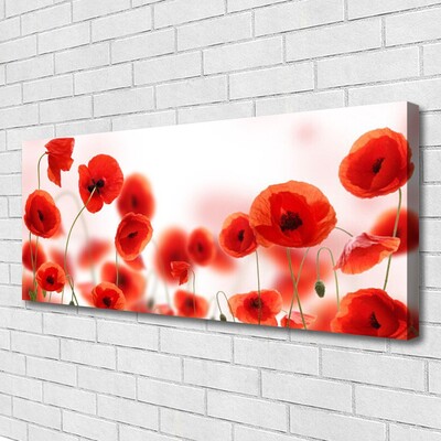 Quadro canvas Papoulas Plantam Natureza