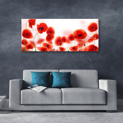 Quadro canvas Papoulas Plantam Natureza