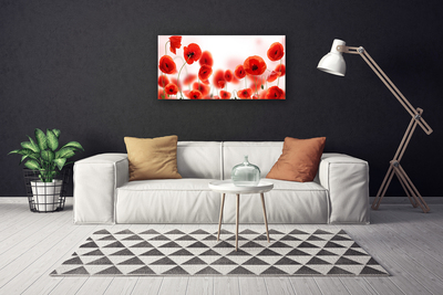 Quadro canvas Papoulas Plantam Natureza