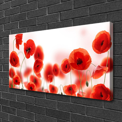 Quadro canvas Papoulas Plantam Natureza