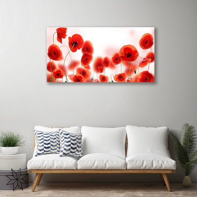 Quadro canvas Papoulas Plantam Natureza