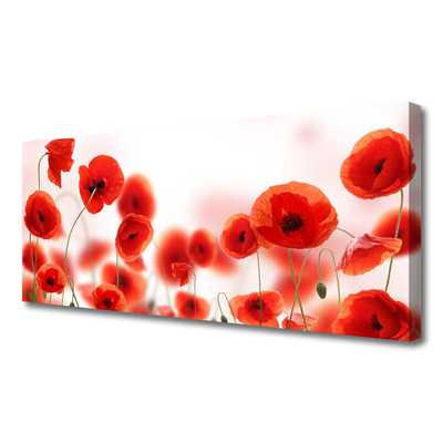 Quadro canvas Papoulas Plantam Natureza