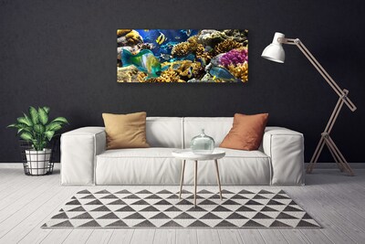 Quadro em tela Natureza dos recifes de corais