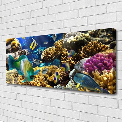 Quadro em tela Natureza dos recifes de corais