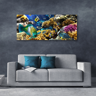 Quadro em tela Natureza dos recifes de corais