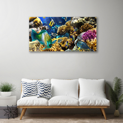 Quadro em tela Natureza dos recifes de corais