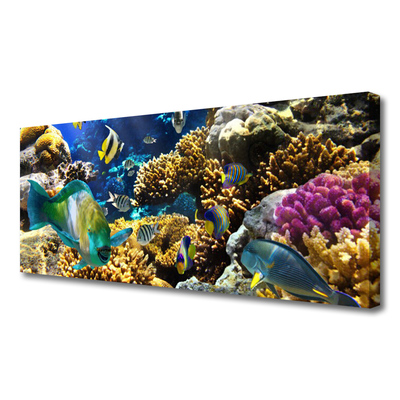 Quadro em tela Natureza dos recifes de corais