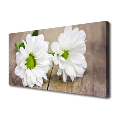 Quadro canvas Flores Planta Natureza