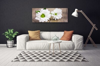 Quadro canvas Flores Planta Natureza