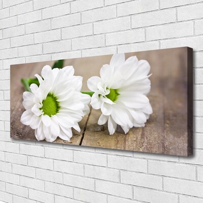 Quadro canvas Flores Planta Natureza