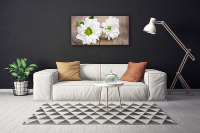Quadro canvas Flores Planta Natureza